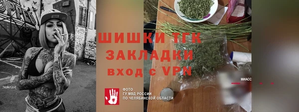 прущие грибы Дмитров