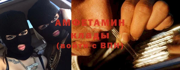 прущие грибы Дмитровск