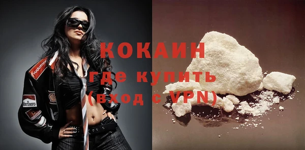 прущие грибы Дмитровск