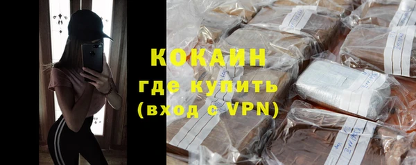прущие грибы Дмитровск