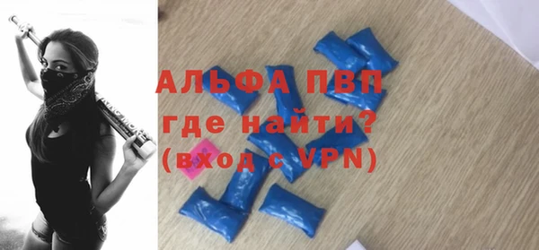 прущие грибы Дмитровск