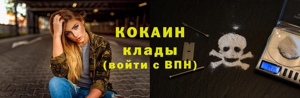 прущие грибы Дмитров