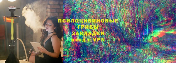 прущие грибы Дмитров