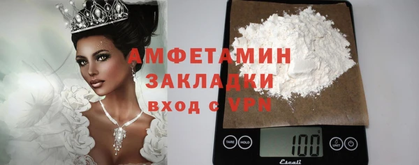 прущие грибы Дмитров