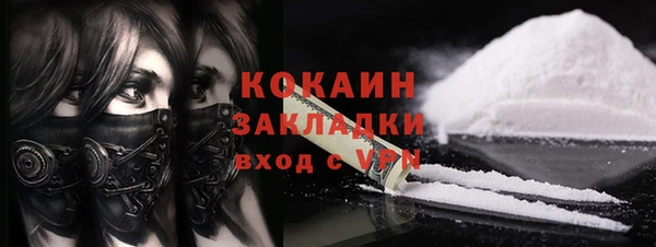 прущие грибы Дмитров