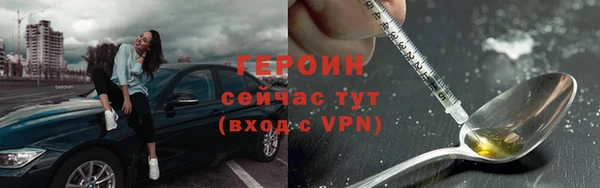 прущие грибы Дмитров