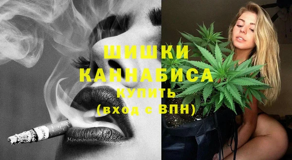 прущие грибы Дмитров
