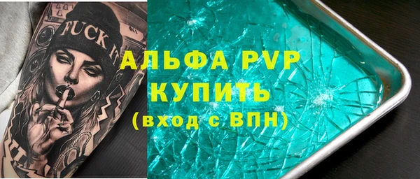 spice Дмитриев
