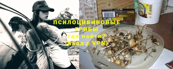 прущие грибы Дмитровск