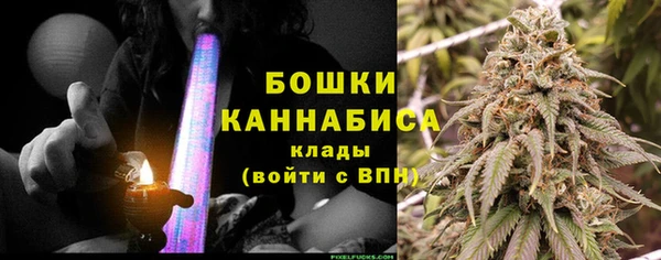 прущие грибы Дмитровск