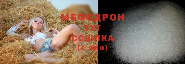 прущие грибы Дмитров