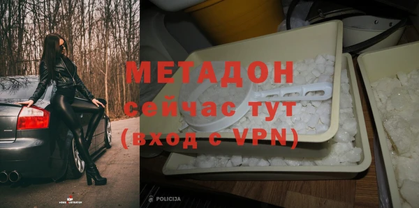 прущие грибы Дмитровск