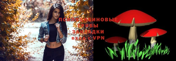 прущие грибы Дмитров