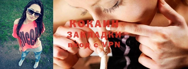 прущие грибы Дмитровск