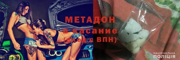 прущие грибы Дмитровск