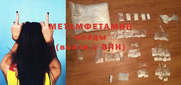 прущие грибы Дмитровск