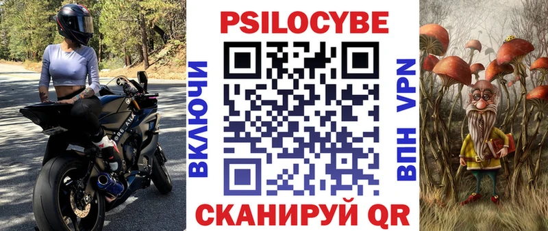 Купить где  Лагань  Псилоцибиновые грибы Psilocybine cubensis 